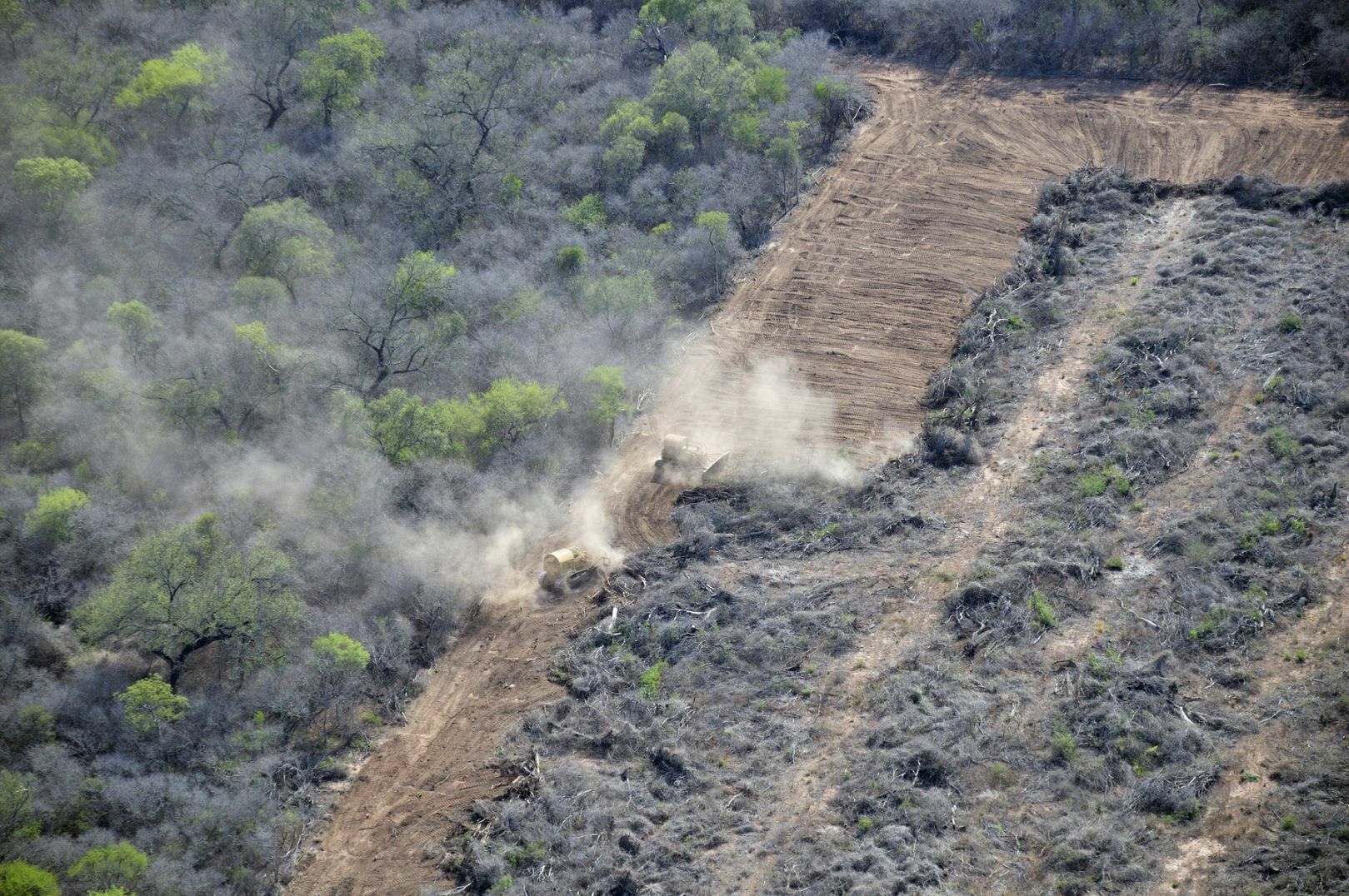 brazil deforestation2 profimedia 0146492368
