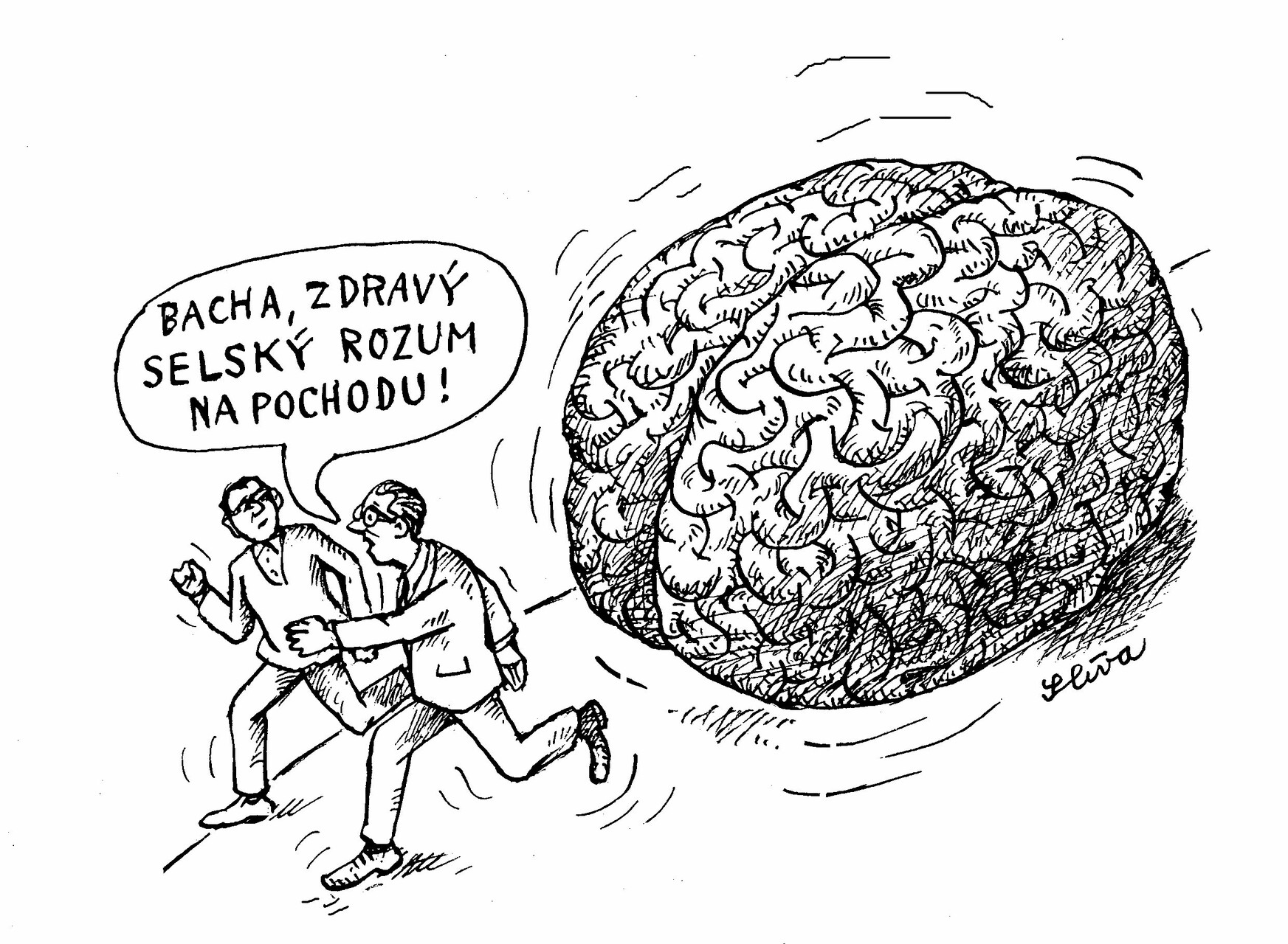 zdravy selsky na pochodu 8 small
