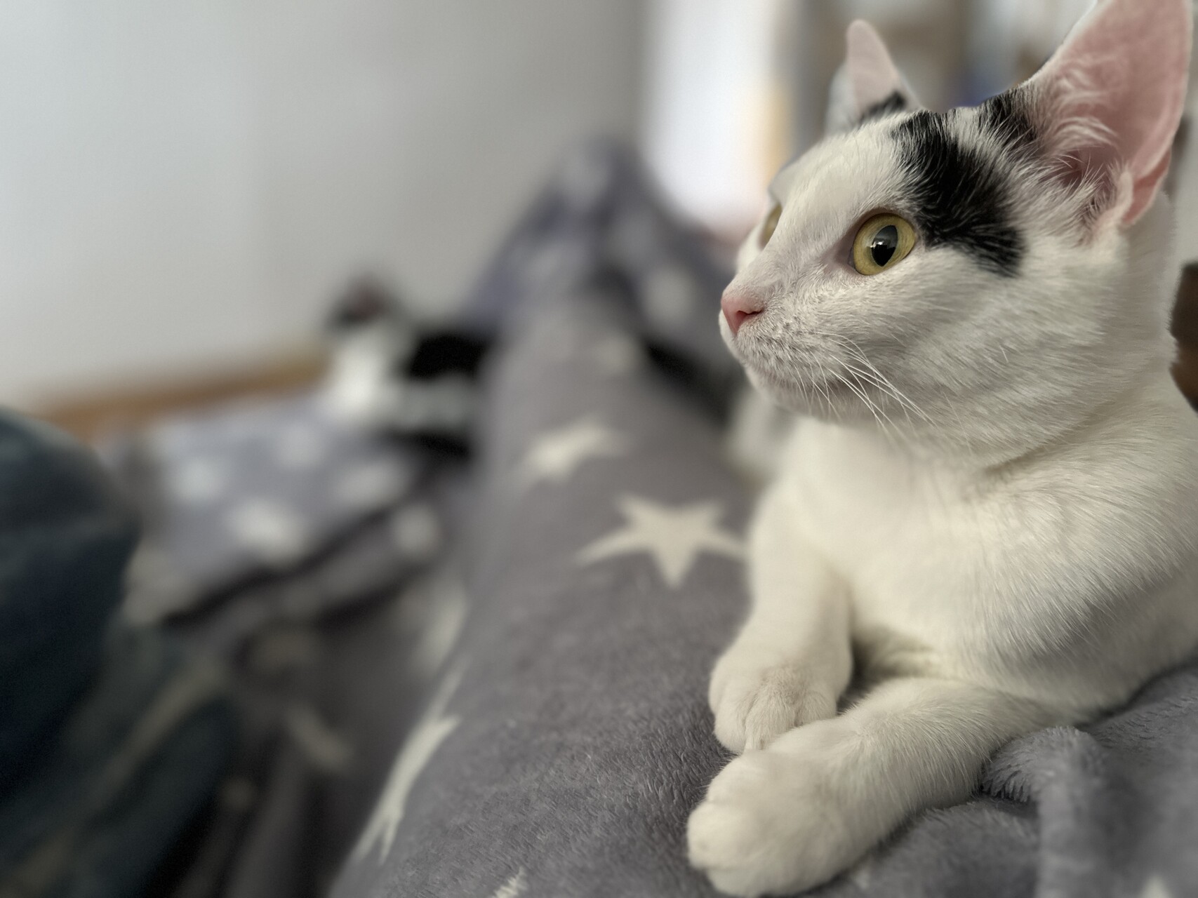 tecka pohoda