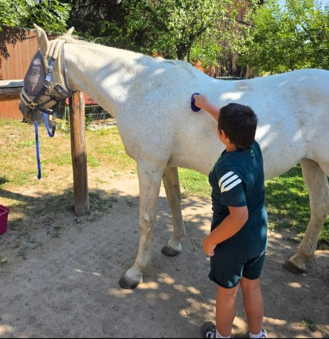 Kontakt se zvířaty dělá Míšovi radost. (foto: se svolením) misakun