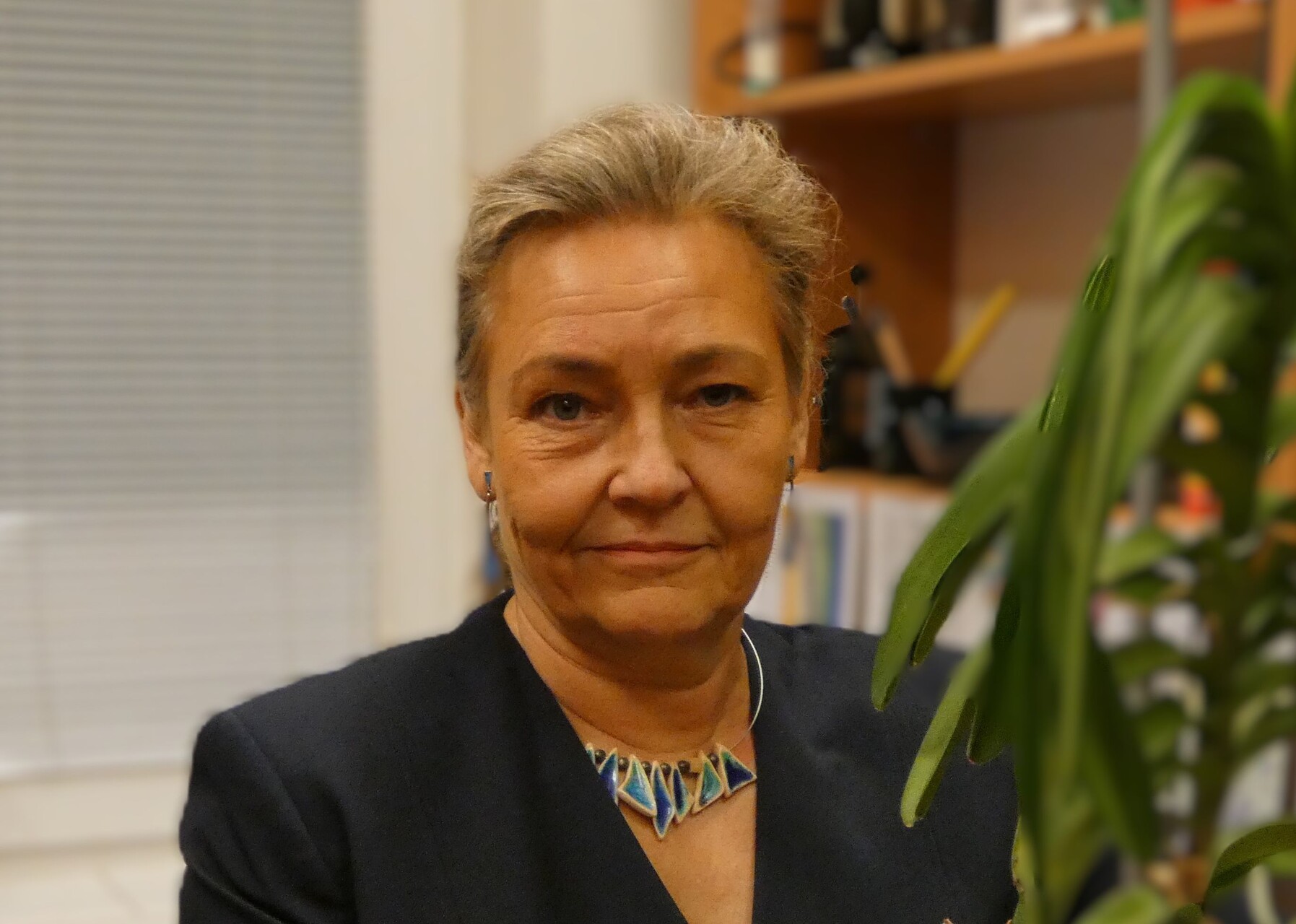 mb prof land