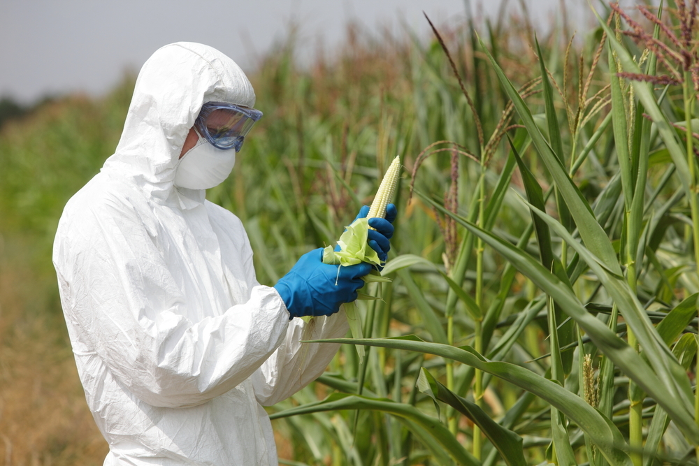 Chemicky chráněné nebo geneticky upravované potraviny mají méně živin. Ty nahrazují doplňky stravy. shutterstock 172921133