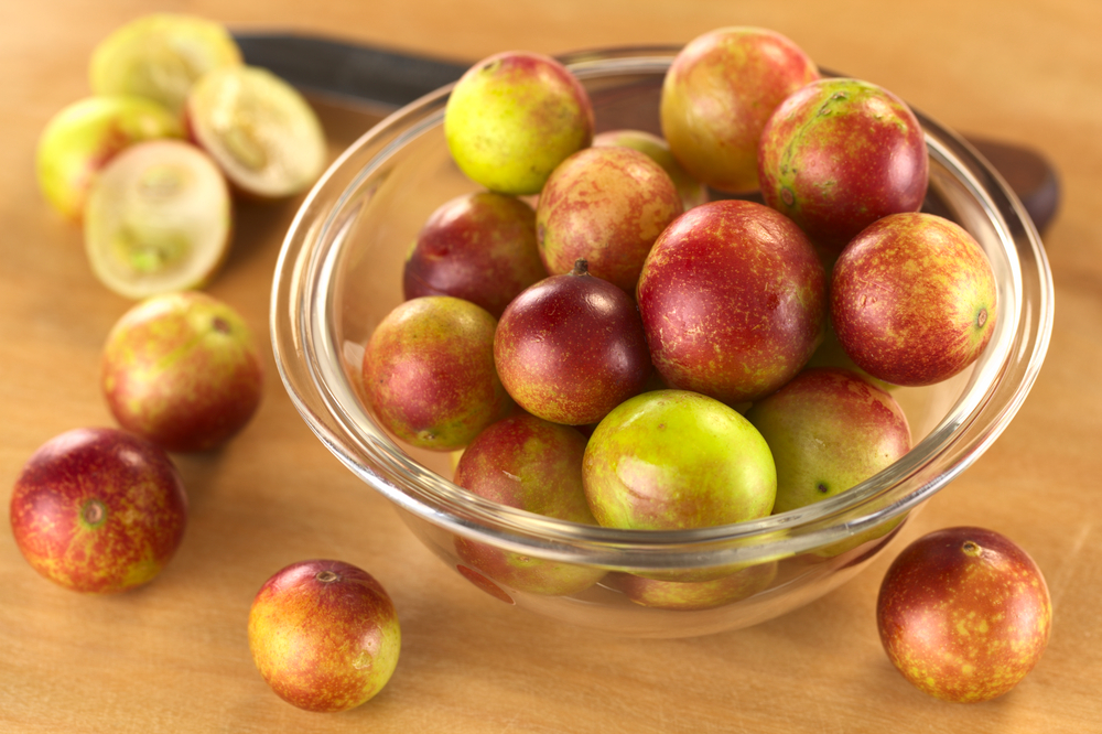 Camu Camu je u nás většinou k dostání jen ve formě prášku, nejvíce se pěstuje v Brazílii shutterstock 89815948