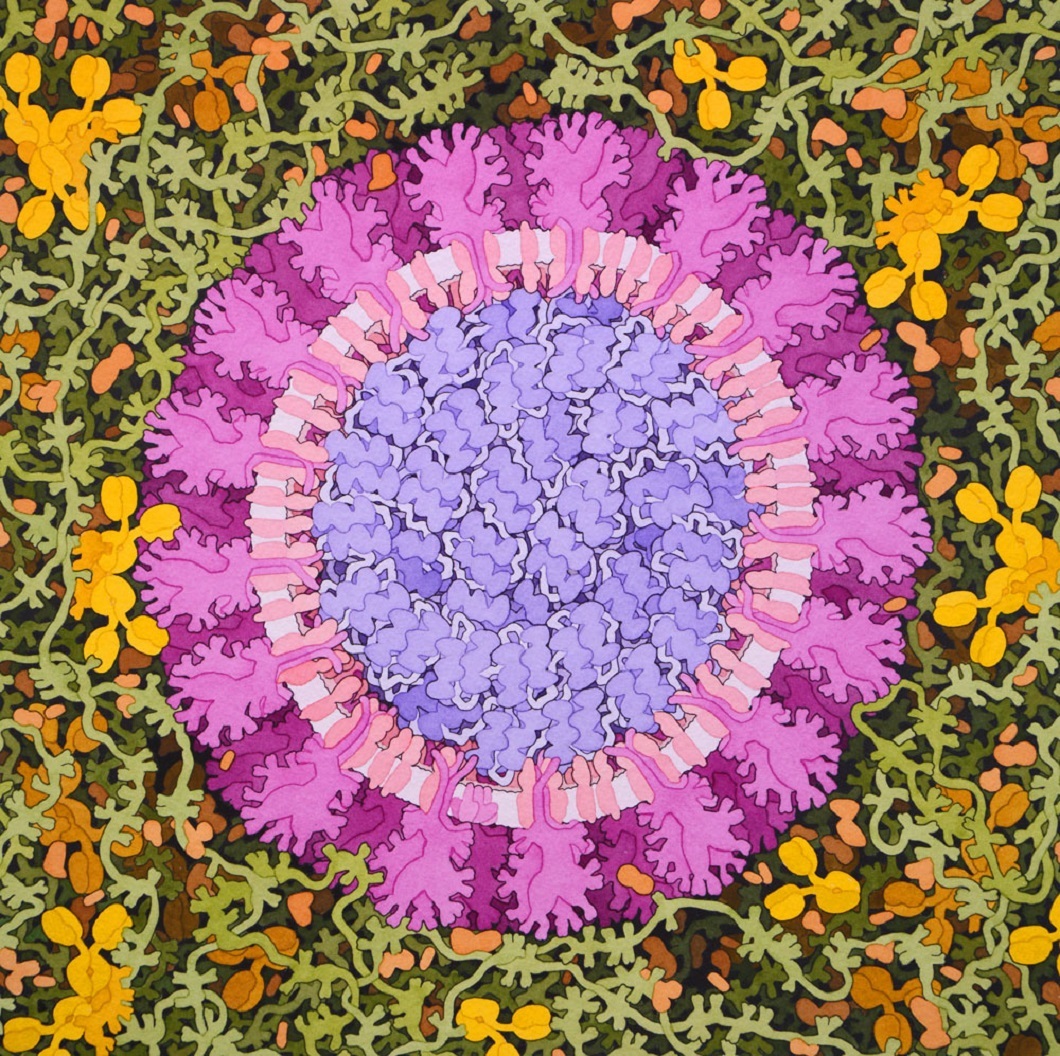 goodsell
