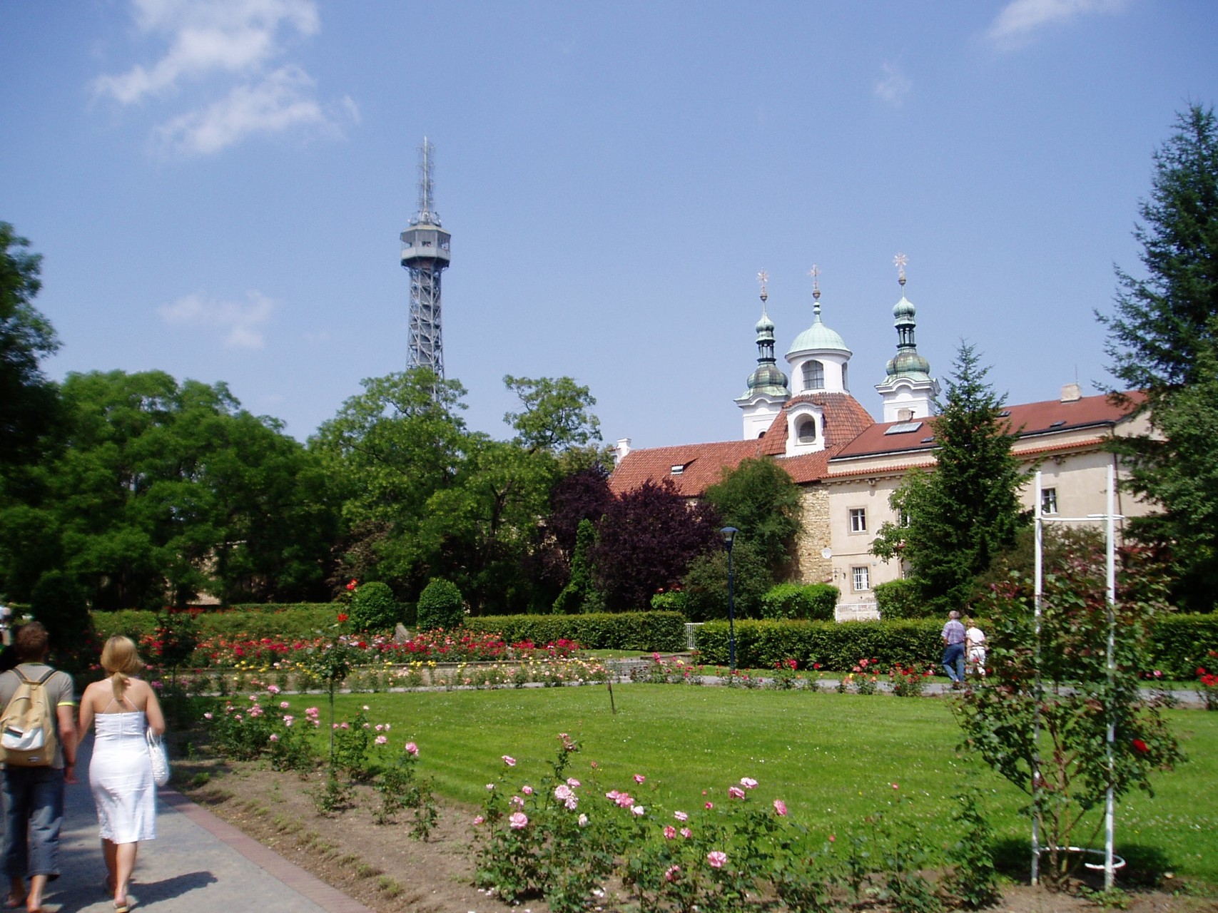 petrin1