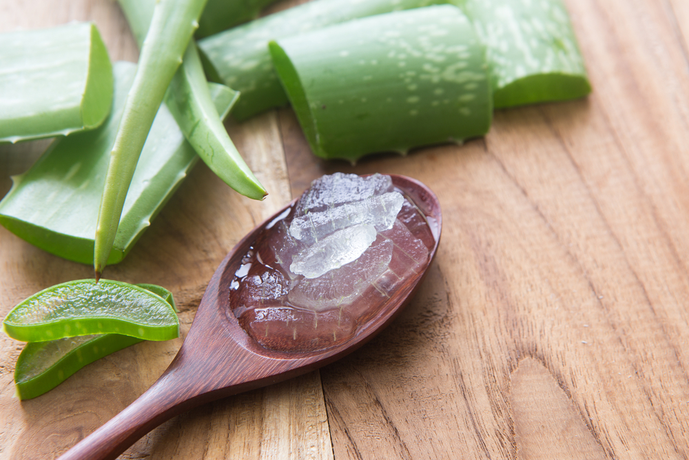 aloe vera shutterstock 414748864