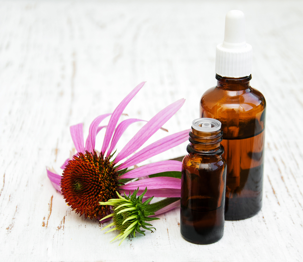 Echinacea je díky svým blahodárným účinkům využívána již po staletí. echinacea shutterstock 538760938