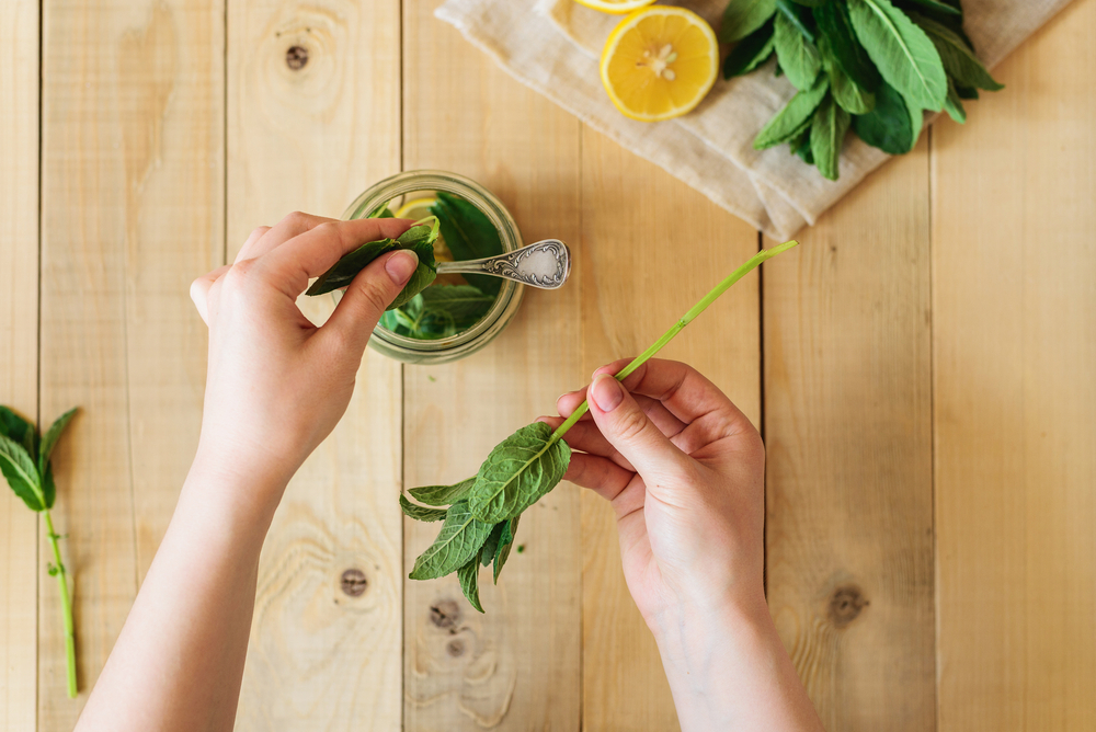 Máta není jen ozdobou do mojita, pomůže vám i s mnohými neduhy, osvěží dech a zklidní podrážděnou pleť. mata shutterstock 591716996