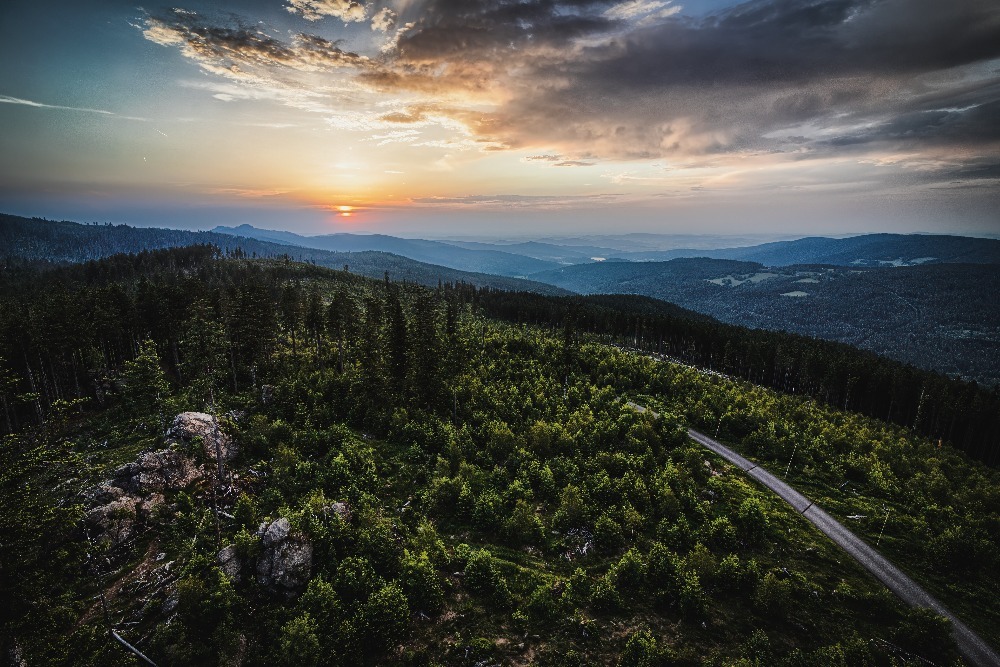 m sumava shutterstock