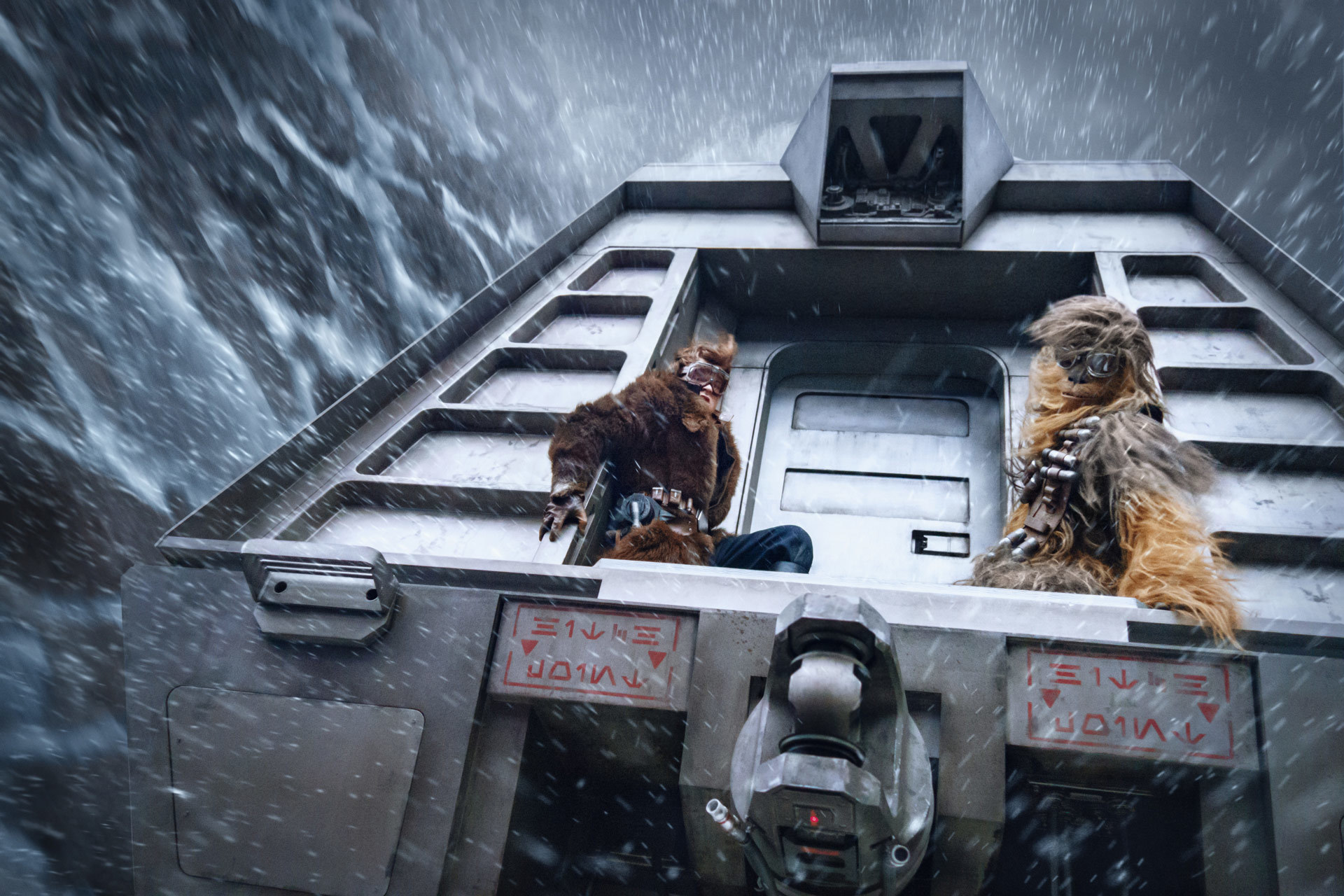 solo 6