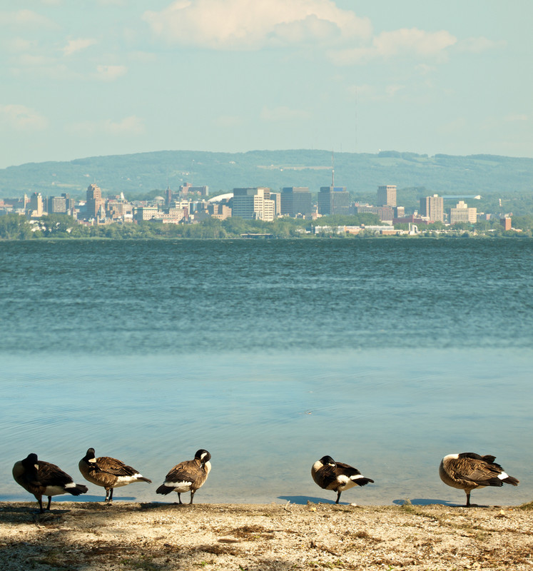 Ve městě Syracuse existuje program, díky němuž se značné množství vody zachytí a pročistí, než ji pojme jezero onondaga 240458305