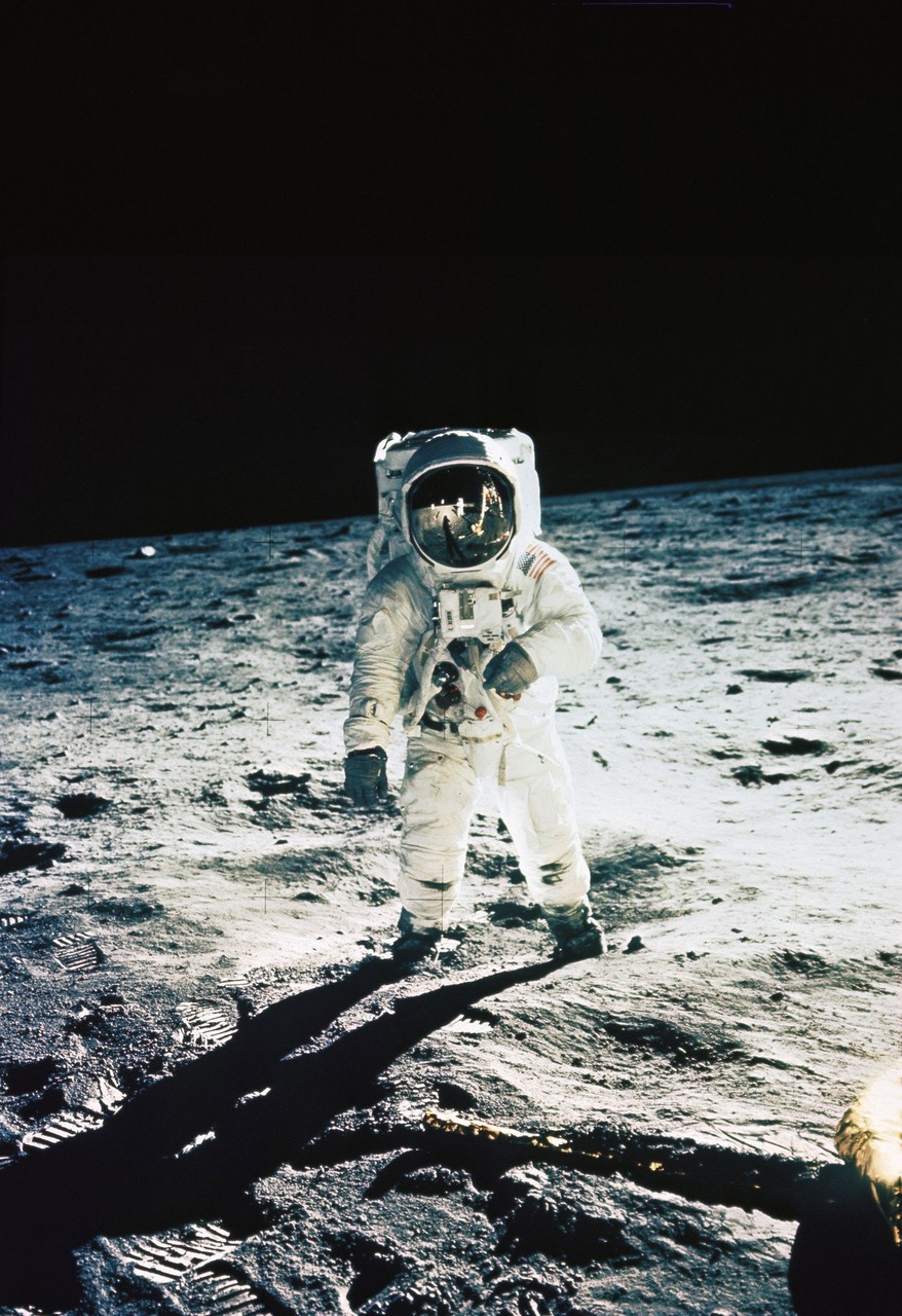 apollo 0156449195