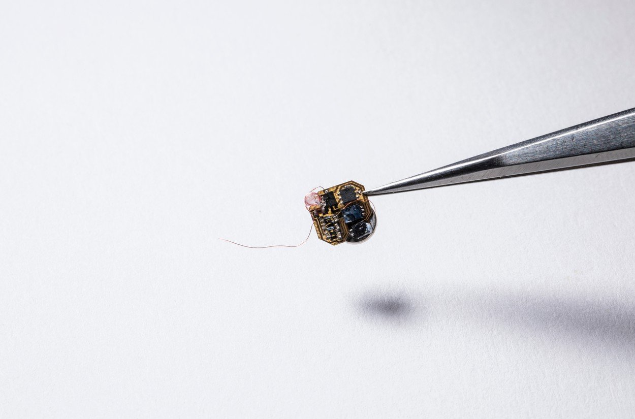 sensor vcela 0402264887