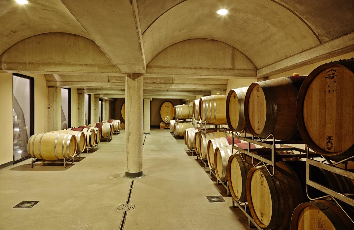 vino 22