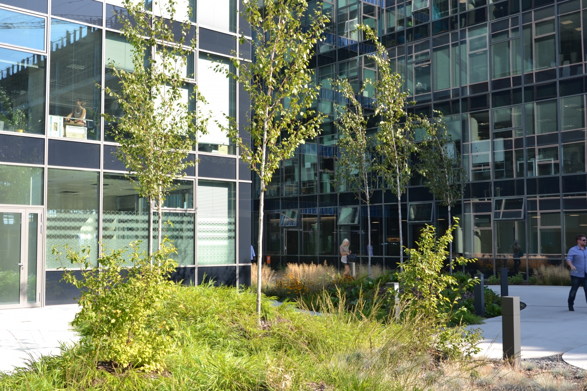 strechy campus