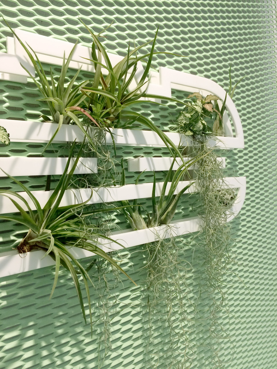 plantarium 2