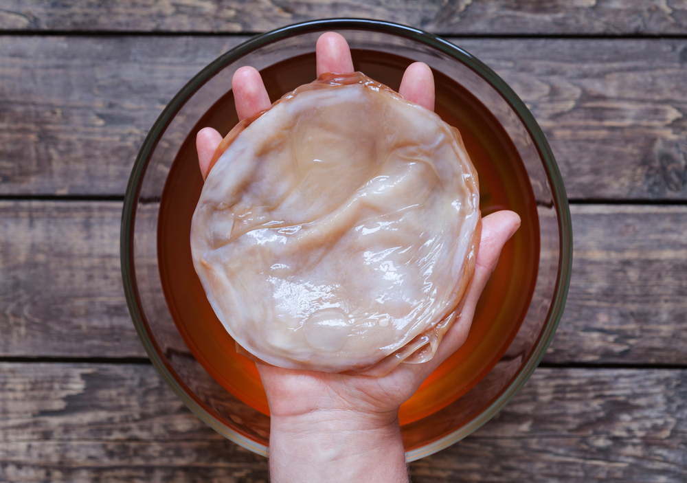 kombucha2