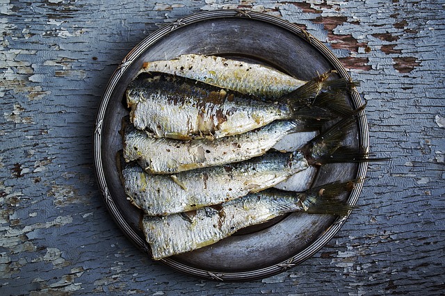 sardines 1489630 640