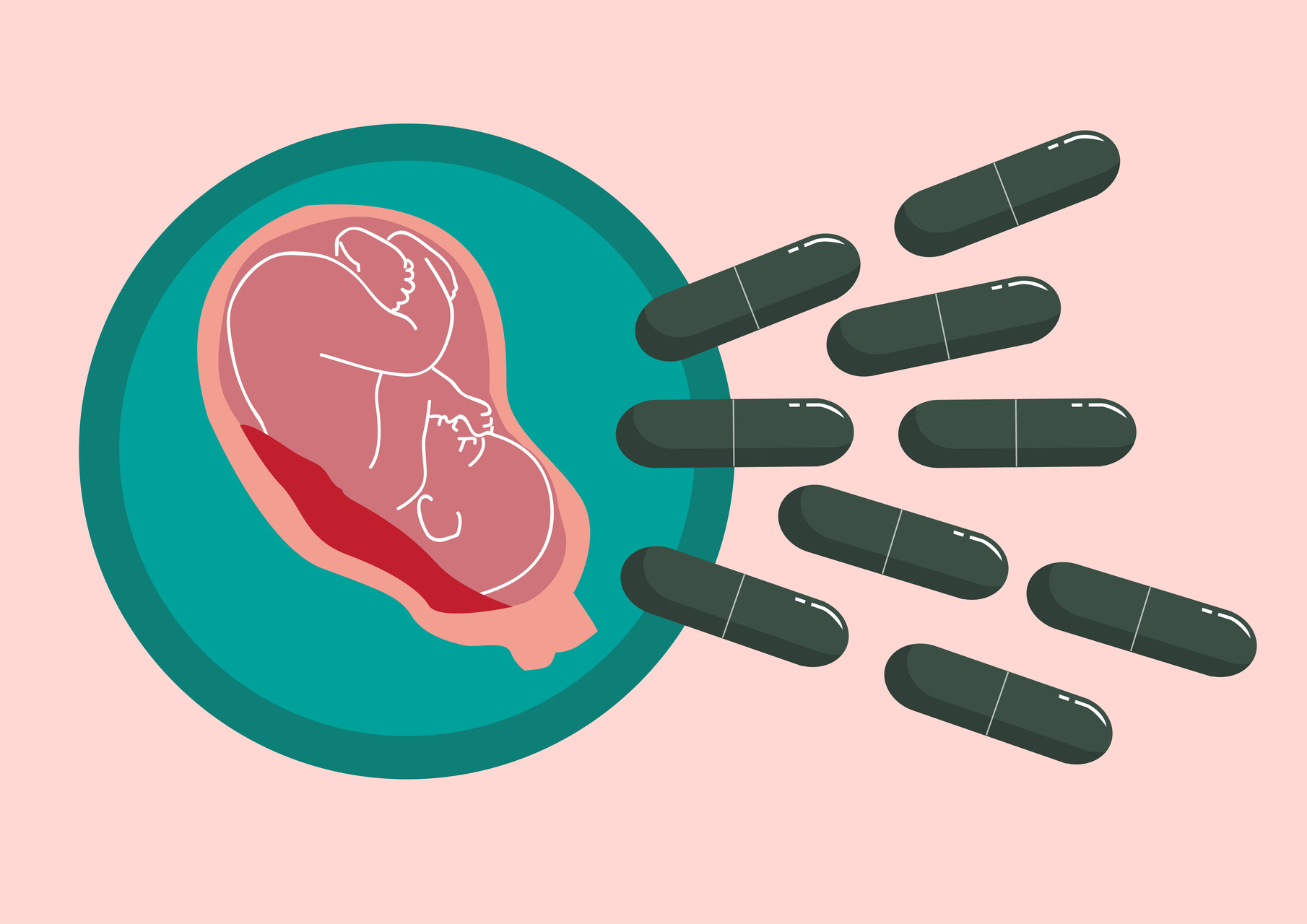 placenta shutterstock 670235929