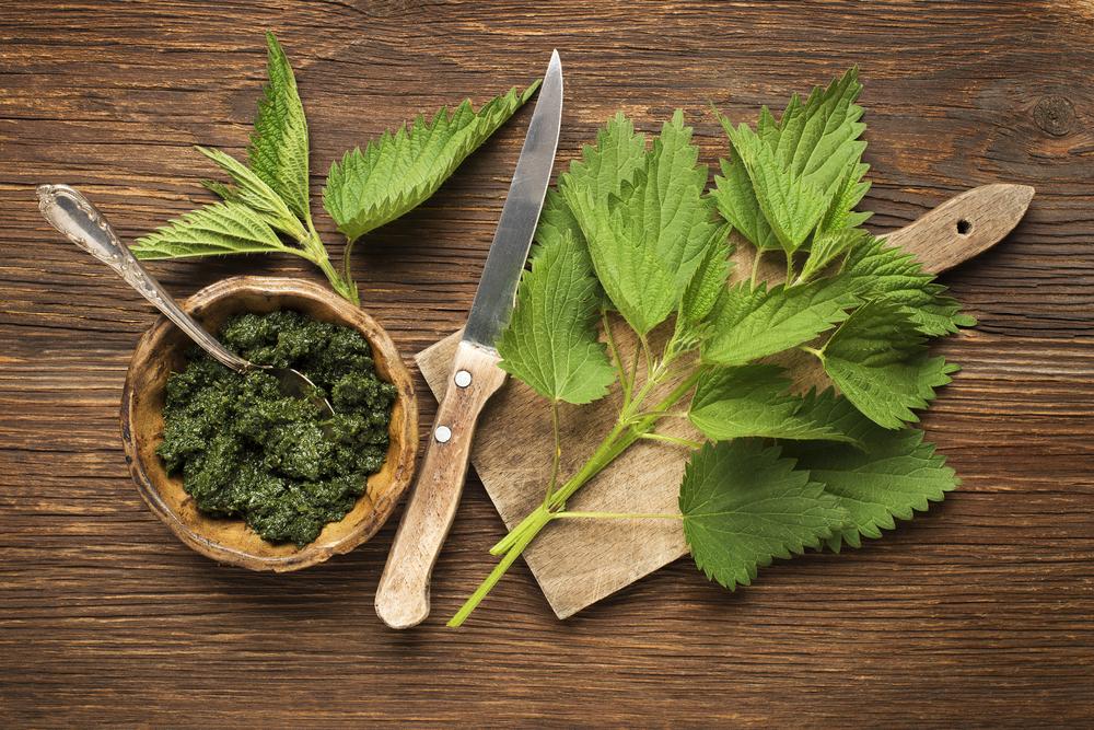 Kopřivy vždy před přípravou spařte, díky tomu ztratí svou "pichlavou" schopnost. zavarovani v dubnu shutterstock 412910794