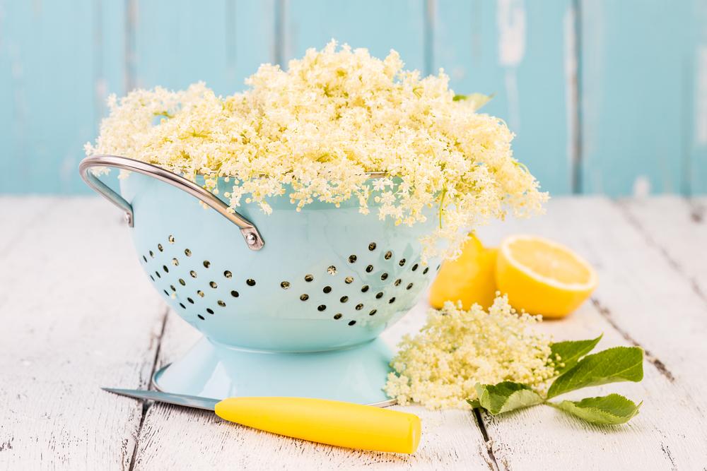 Sirup můžete připravit z jakékoliv čersté byliny. Klasika jako je ten bezový se doma jistě neztratí, ale můžete i trochu zaexperimentovat. zavarovani v dubnu shutterstock 431319028
