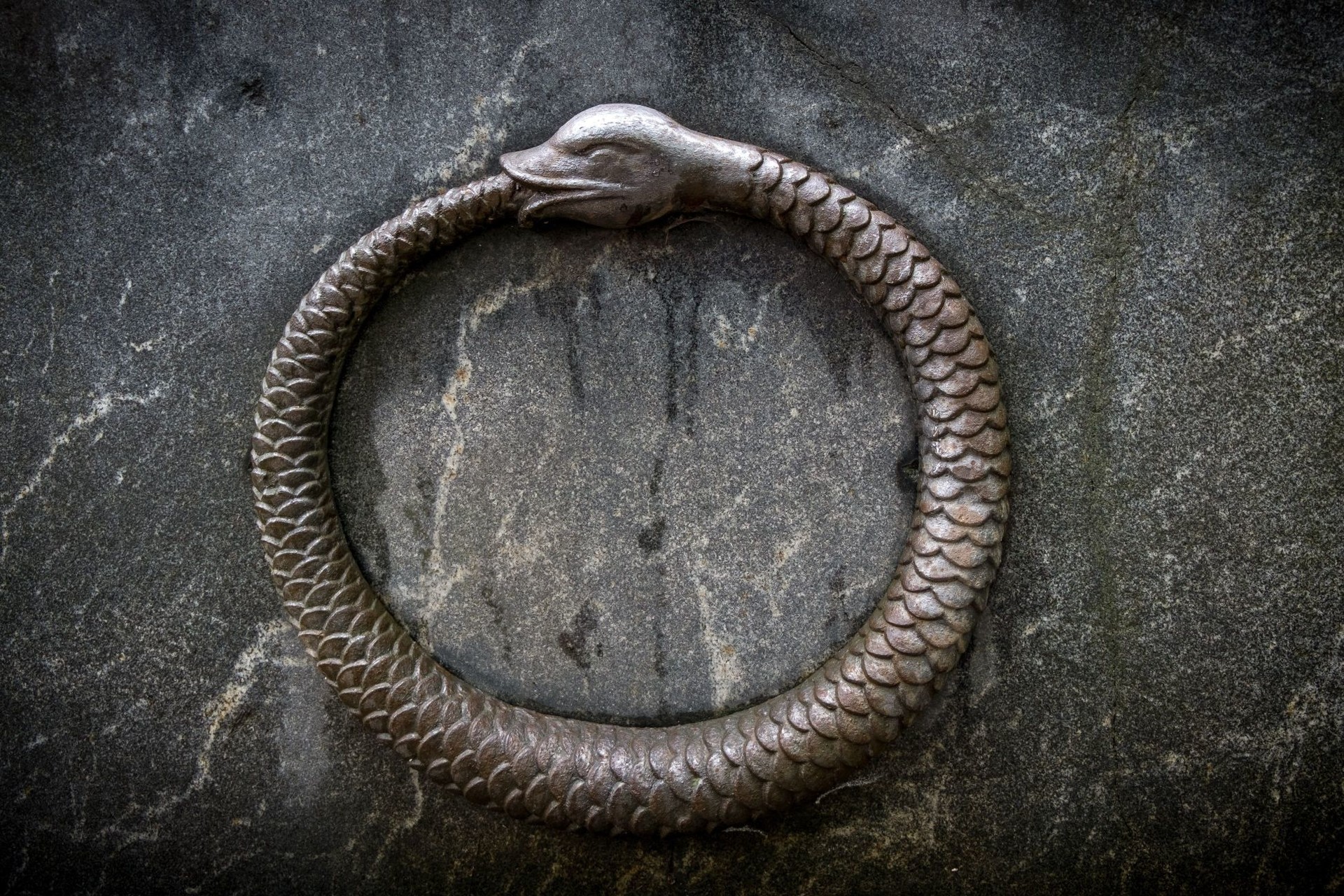 ouroboros small jpg